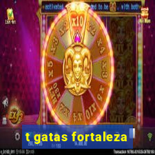 t gatas fortaleza